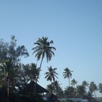 Lua de Mel - Porto de Galinhas 4