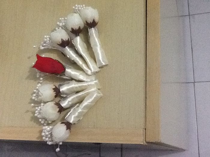 Lapelas