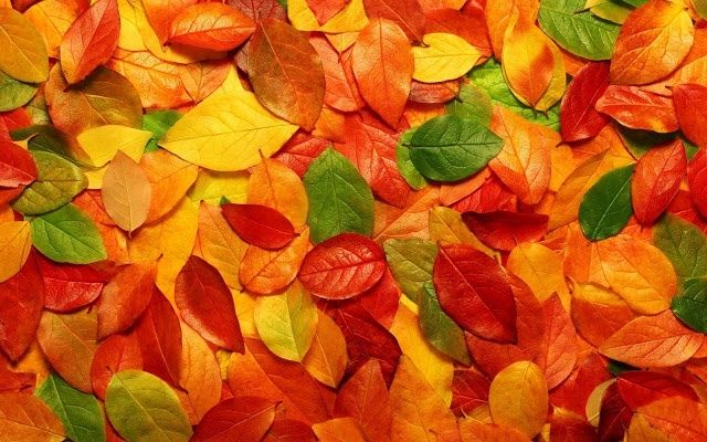 Combinação de cores