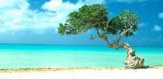 Aruba