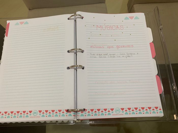 Meu planner - diy 10