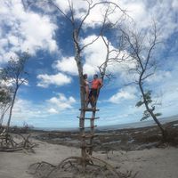 fechei minha lua de mel - 1