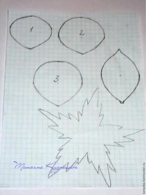 Rosa de eva perfeitaaaa - 2