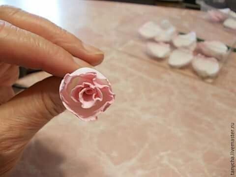 Rosa de eva perfeitaaaa - 25