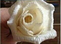 Rosa de crepom - 7