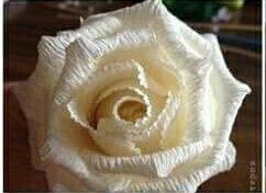 Rosa de crepom - 8