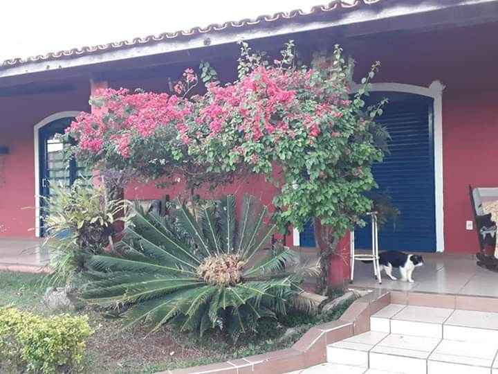 Loval escolhido e conquistado - 1