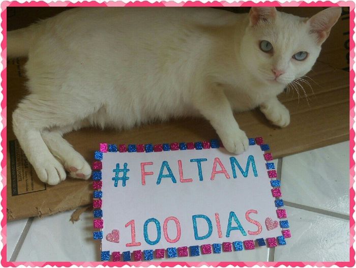 E os tao esperado 100 dias chegaram!!! ta chegandooo - 2