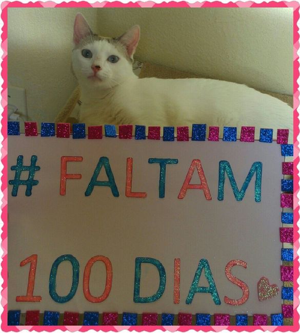 E os tao esperado 100 dias chegaram!!! ta chegandooo - 3