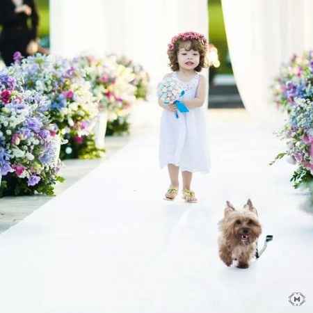 Casamento ao ar livre. - 2