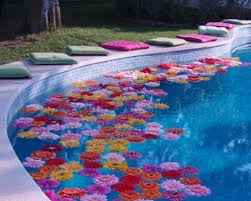 Idéias para decorar piscina - 3