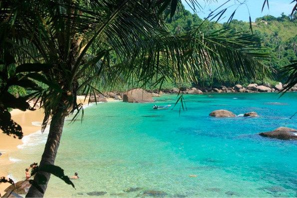 Picinguaba - Ubatuba