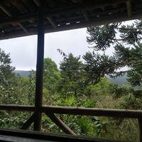 Com certeza foi acordar com essa paisagem rsrs