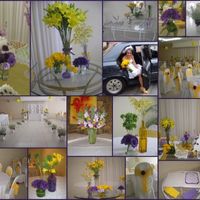 Amarelo e Roxo