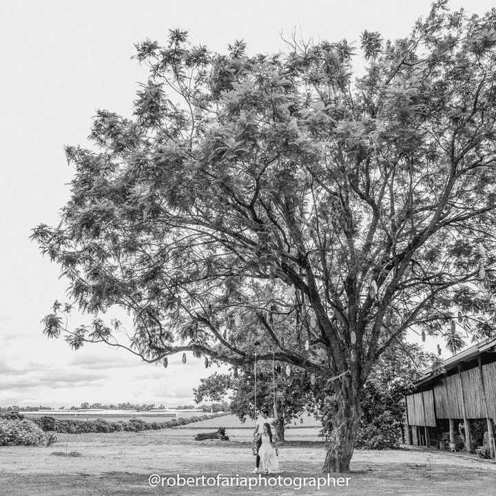 Pré wedding - Holambra - 4