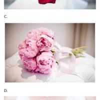 A cor ideal para o meu casamento é cores neutras - 3