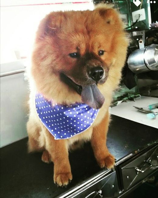 Ganhei um filho - 2