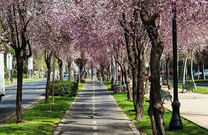 Santiago Chile