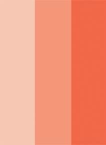 Casamento coral - inspirações - 1