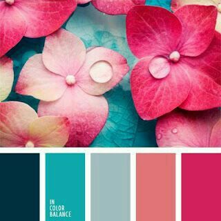 Paleta de cores - 2