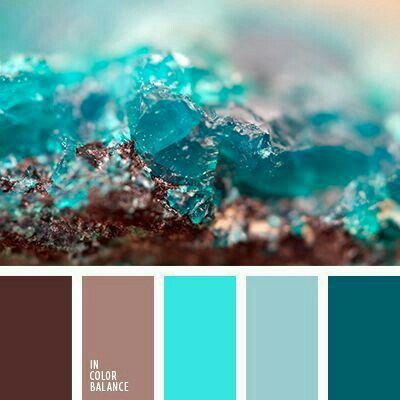 Paleta de cores - 5
