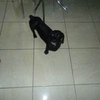 Filhinha.. *-*
