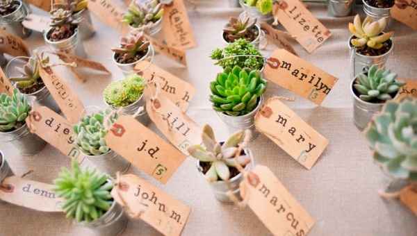 Plantinhas para dar de lembrança. 