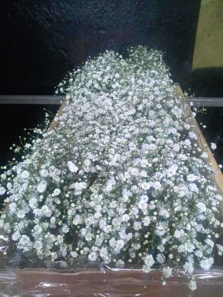 Buques das Madrinhas 