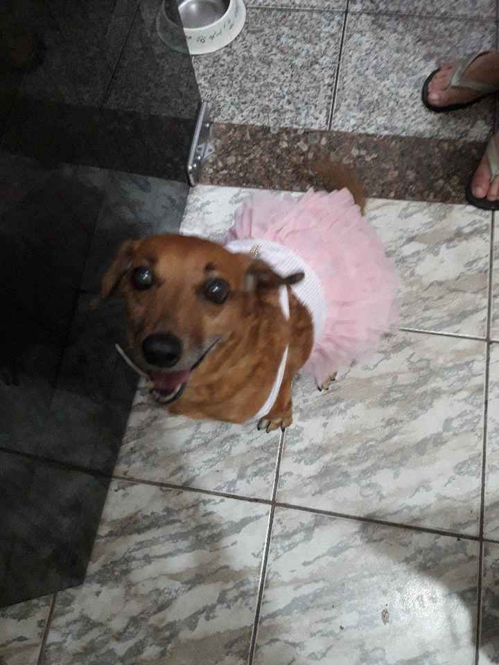 Dia do noivo.... Pq eles também merecem. - 1