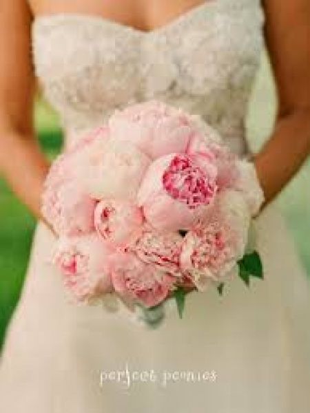 Nao e Rosas!