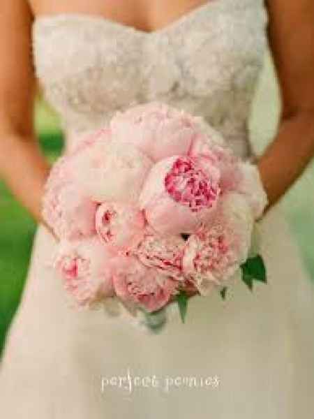 Nao e Rosas!
