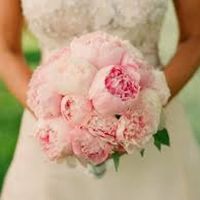 Nao e Rosas!