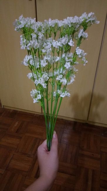 mosquitinho