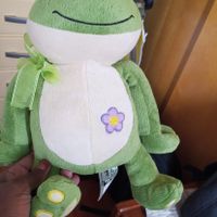 Sapinho para o noivo - 1