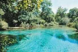 Bonito é lindo!