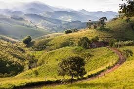 Muito Verde