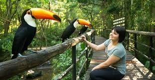 Parque das Aves