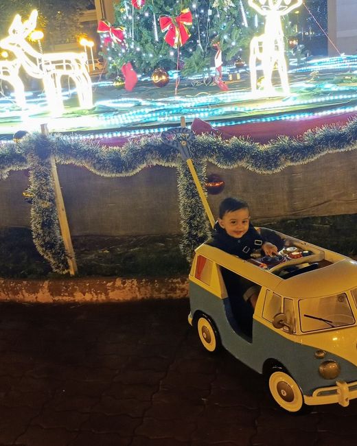 Carrinho para pajem 1