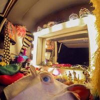 Escolhi isso para animar mais a festa - Sabrina - 1