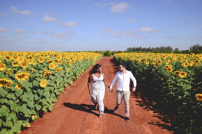 Pré wedding em Holambra - 5