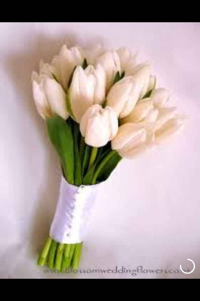 Buque branco... - 1