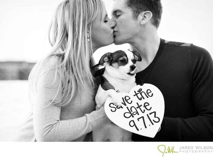Save the Date - Cachorro
