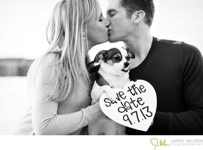 Save the Date - Cachorro