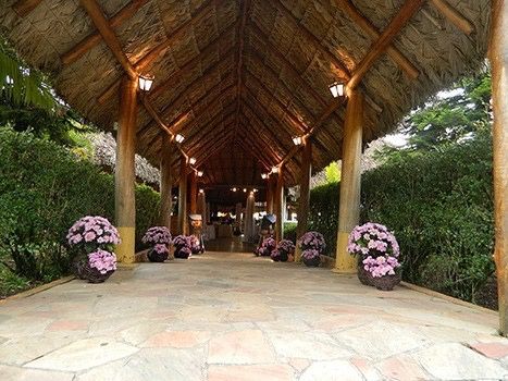 As cores do meu casamento... vem ver :) - 4