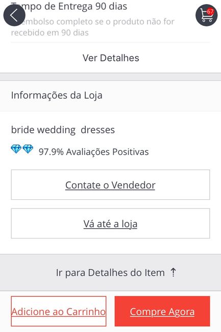 Meu véu chegou... vem ver :) - 2