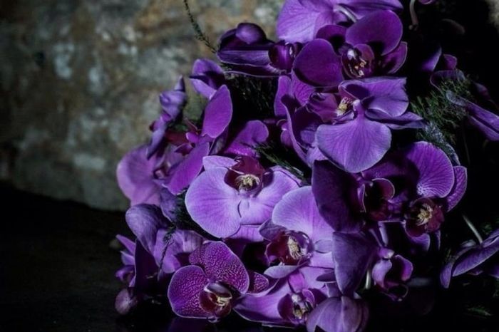 Cores e flores para o seu casamento: aproveite as dicas do Zodíaco! 🌟 7