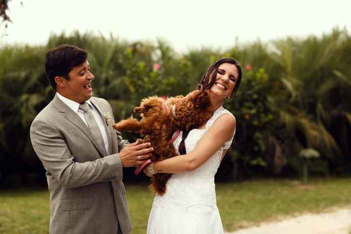 Destaque o estilo e temperamento do seu pet nas fotos pré-casamento! - 4