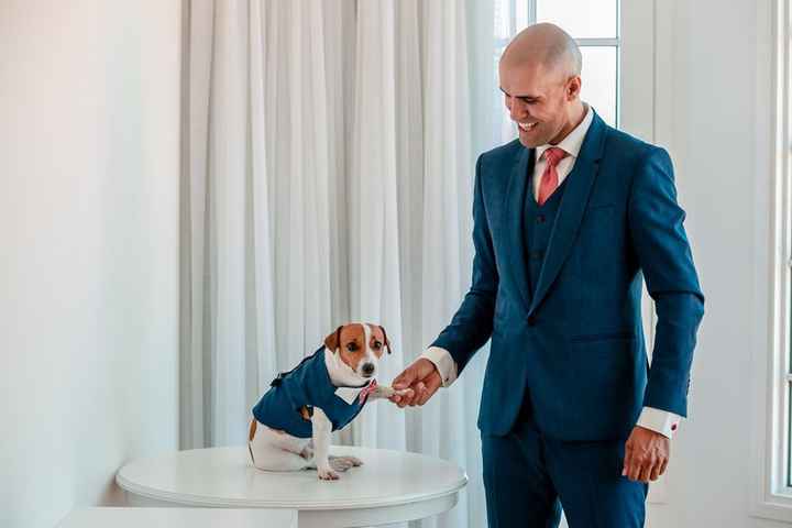 Destaque o estilo e temperamento do seu pet nas fotos pré-casamento! - 5