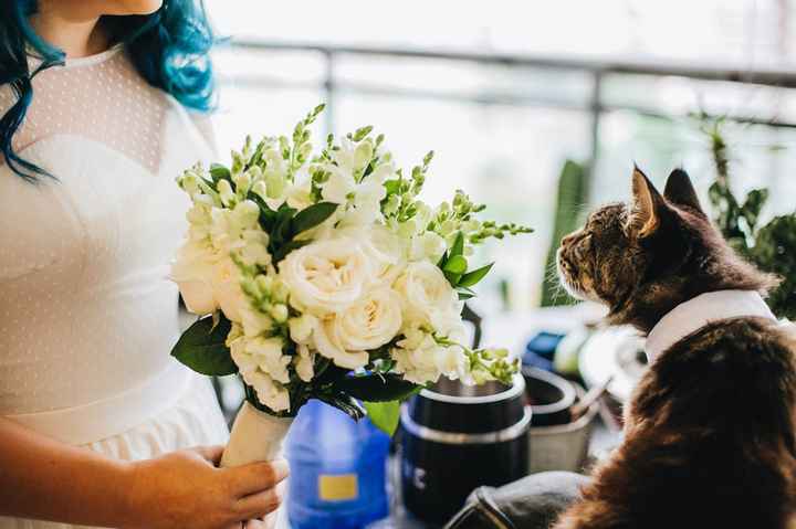 Destaque o estilo e temperamento do seu pet nas fotos pré-casamento! - 7