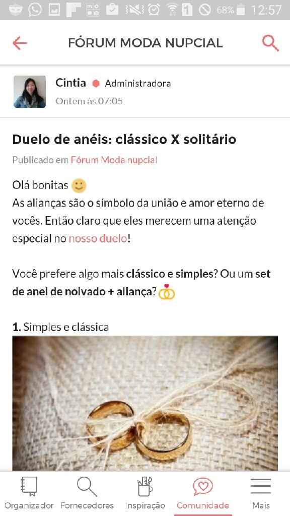 Meus duelos de noiva - ariadne - 9